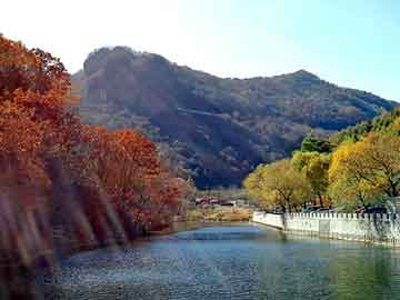 新澳天天开奖资料大全旅游团，垃圾桶价格